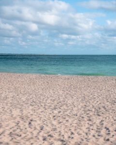 Stranden ved Hørnum Odde