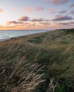 Sild solnedgang over havet