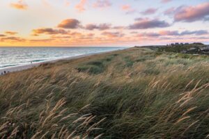 Sild rejseguide: 12 bedste oplevelser på den tyske ferieø Sylt Sild