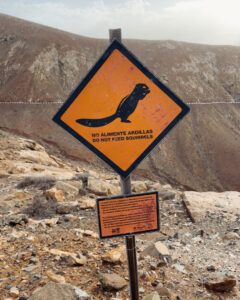 Skilt med fodring forbudt