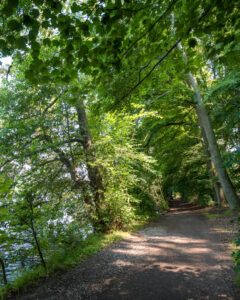 Gåtur langs søen i Bad Segeberg