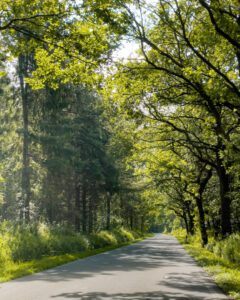Køreturen til Slesvig