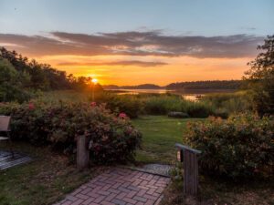 Udsigten fra restauranten