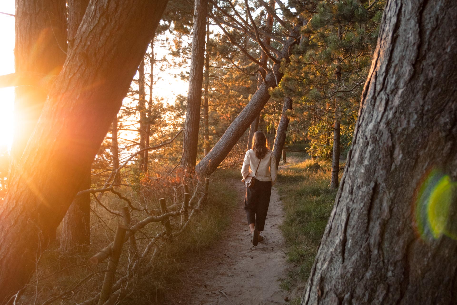 Slesvig-Holsten rejseguide: Oplevelser & seværdigheder i den nordtyske delstat