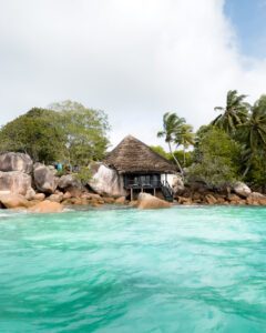 Chauve Souris Relais