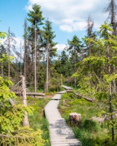 Vandring i Harzen-nationalpark
