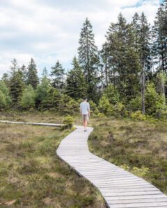 Alex på vandresti i Harzen