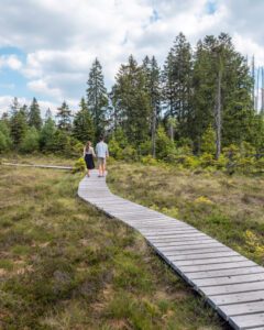 Træstien ved Torfhausmoor