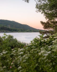 Stille vand ved Innerstetalsperre omkring solnedgang, set gennem bladene fra bredden