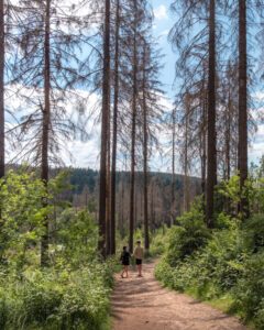 Alex & Victoria på Liebesbank-stien