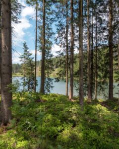 Liebesbank-vandresti sø