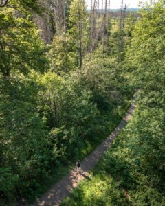 Udsigt fra tårnet ned på vandrestien