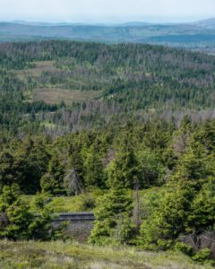 Udsigt over Harzen-bjergene fra Brocken