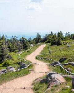 Vandrestien på toppen af Brocken