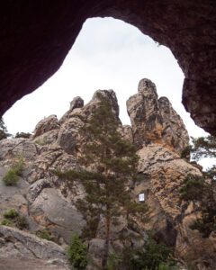Hule ved Hamburger Wappen