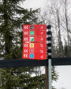 Langrendsspor i Åre om vinteren