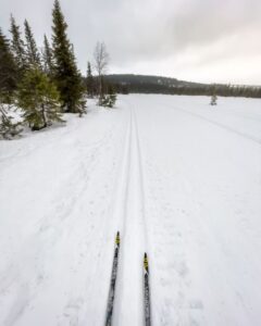 Langrend ved Björnen i Åre