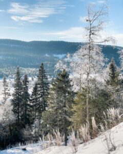 Vinterudsigt i Åre, Sverige