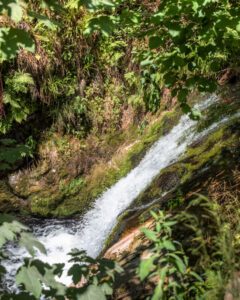 Vandfald med natur i Allerheiligen-Wasserfälle
