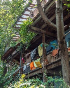 Hippier i Vauban, Freiburg