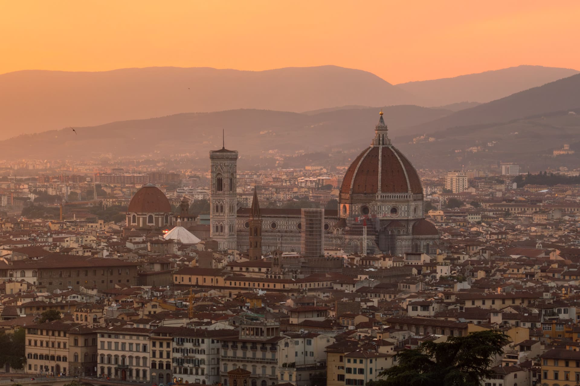 Firenze rejseguide: 16 bedste oplevelser & seværdigheder