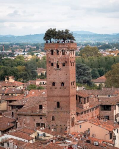 Egetræer på toppen af Torre Guinigi i Lucca