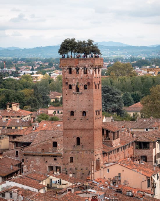 Egetræer på toppen af Torre Guinigi i Lucca