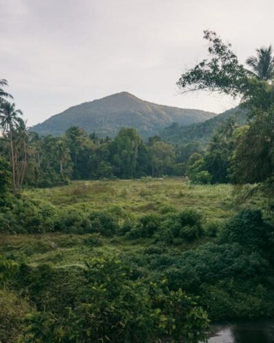 Selvom vi besøgte i den tørre sæson, var landskabet stadig meget grønt