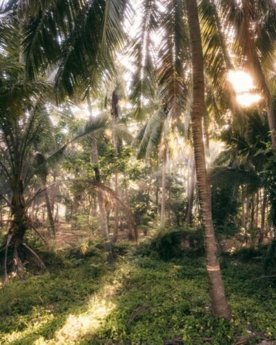 Koh Phangan kan besøges året rundt, så længe du er opmærksom på årstidernes op- og nedture