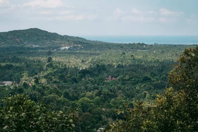 Vestvendt udsigt fra Dom Sila udsigtspunkt