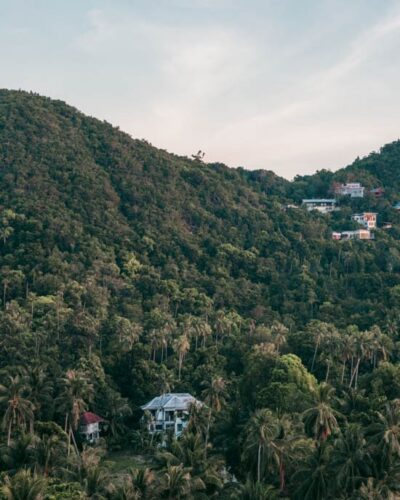 Store dele af den indre del af Koh Phangan er stadig dækket af skov.