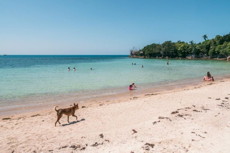 Selvom Secret Beach på ingen måde er hemmelig, er det stadig et fantastisk sted at nyde solen og dyppe i det varme farverige vand