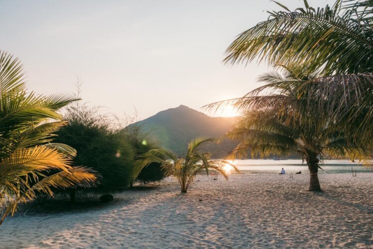 Malibu Beach på Koh Phangan er berømt for sine runde træer. Sandet og vandet er også fantastisk