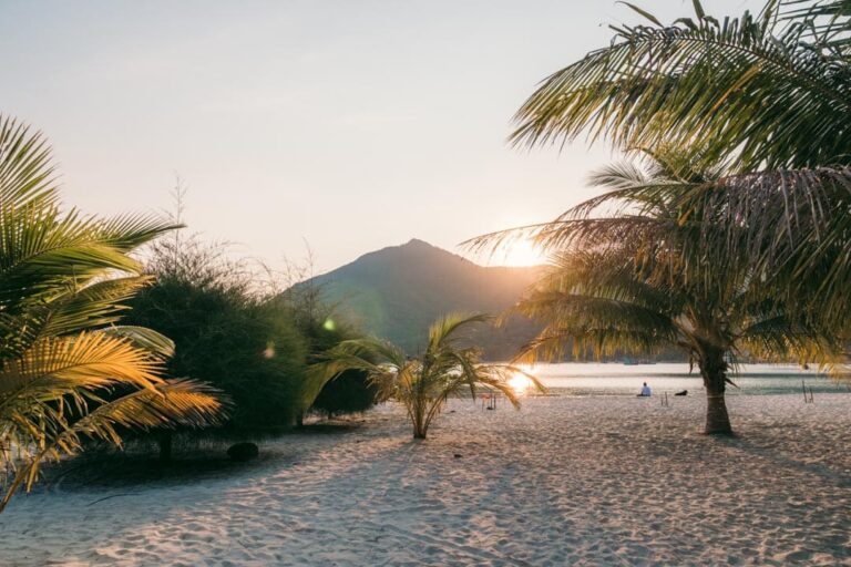Malibu Beach på Koh Phangan er berømt for sine runde træer. Sandet og vandet er også fantastisk
