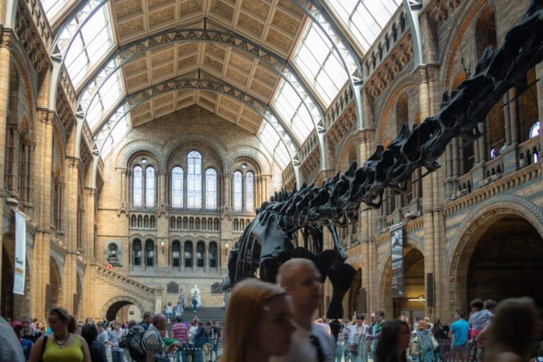 Dippy på Natural History Museum