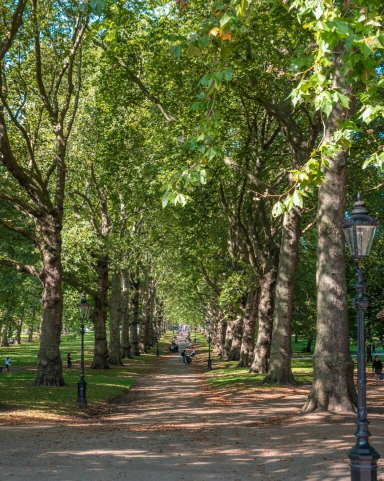 St. James's Park i London