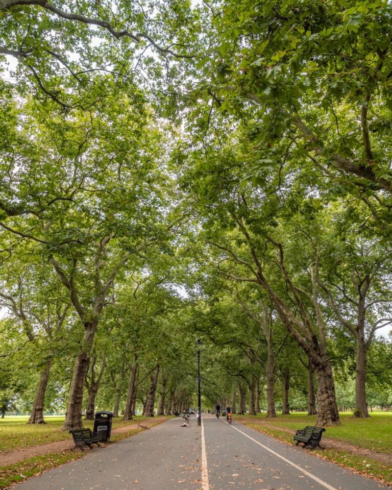 Hyde Park