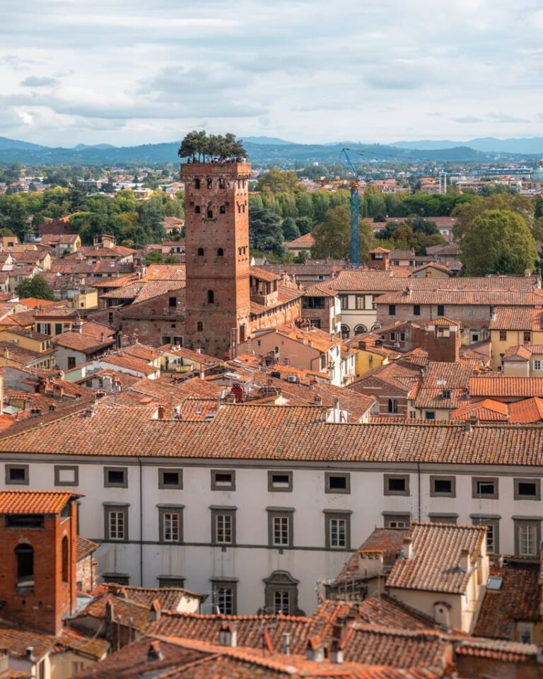 Guinigi-tårnet set fra Klokketårnet i Lucca