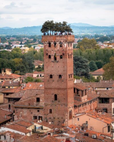 Torre Guinigi tårn i Lucca