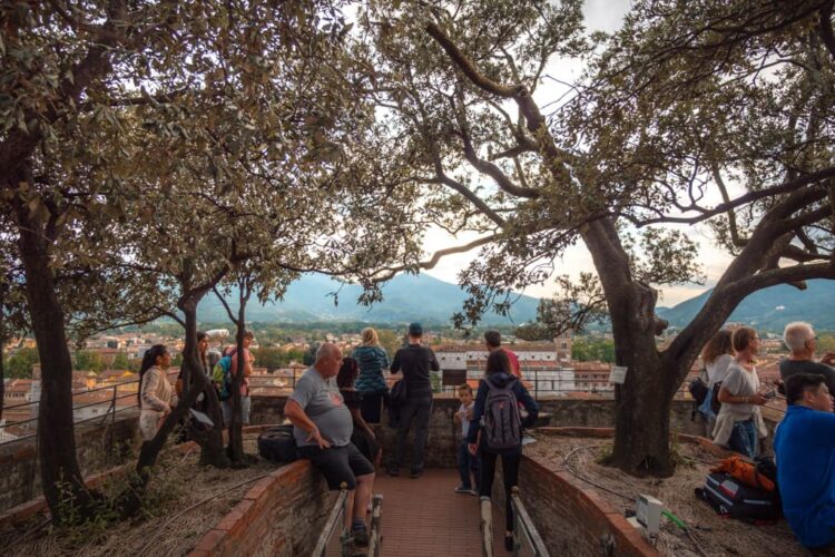 Torre Guinigi er en af de bedste seværdigheder i Lucca