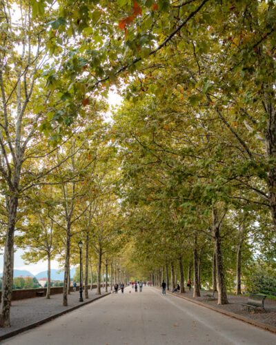 Gå tur på Luccas gamle bymur