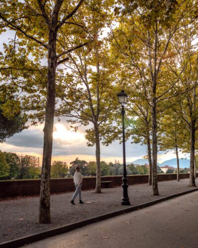 Victoria på bymuren