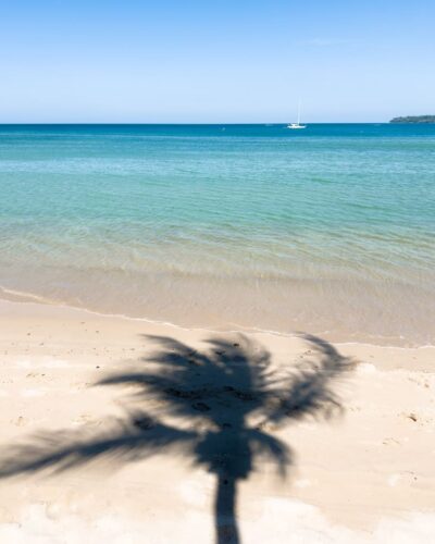 Palme på Phuket på Kamala