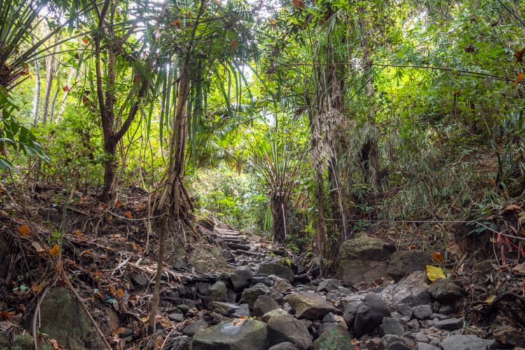 Vandring ned til Freedom Beach på Phuket