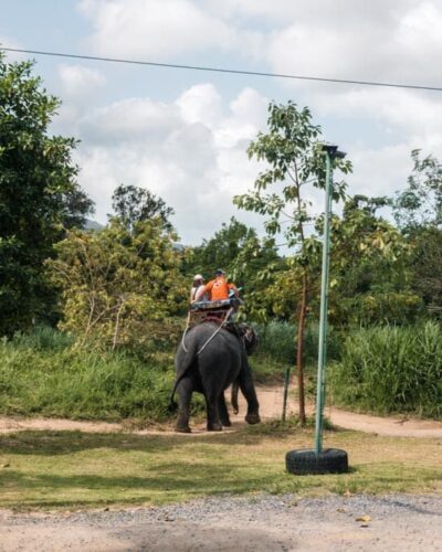 Elefant med mennesker på ryggen i Thailand