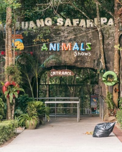 Zoo i Thailand med dyreunderholdning