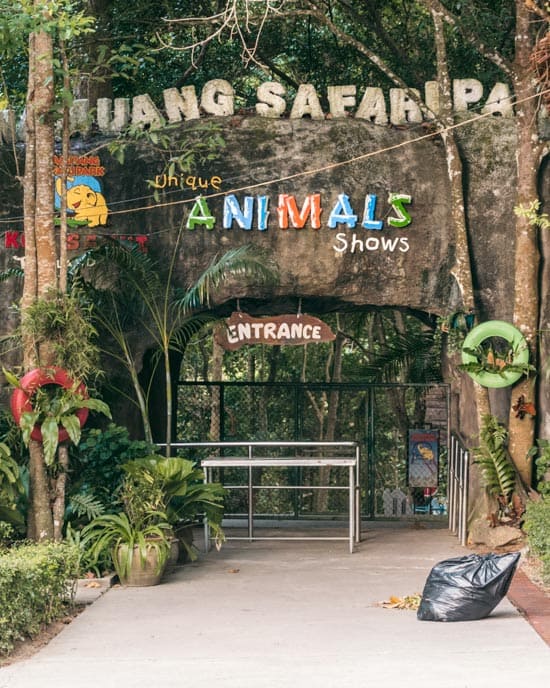 Zoo i Thailand med dyreunderholdning