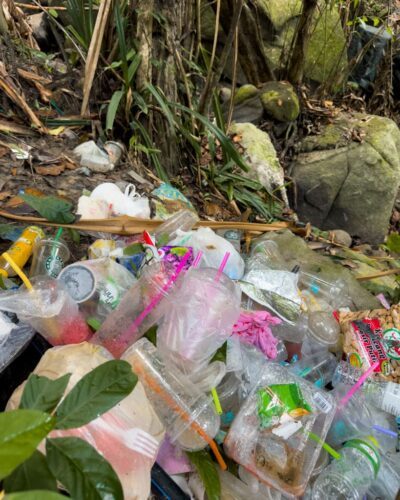 Skrald ved Freedom Beach