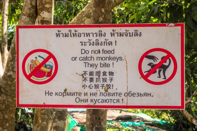 Skilt hvor der står, at man ikke skal fodre aberne ved statuen