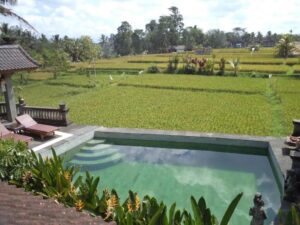 Poolen hos Ala's Green Lagoon i Ubud